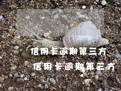 信用卡逾期第三方機構(gòu)提成多少(信用卡逾期第三方機構(gòu)提成多少錢)