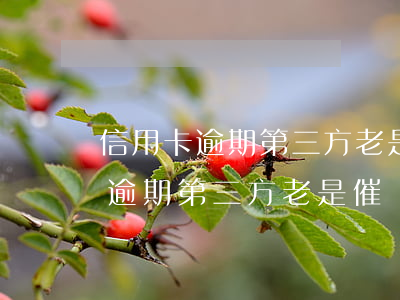 信用卡逾期第三方老是催賬怎么辦-信用卡逾期第三方老是催賬怎么辦呢