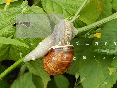 信用卡逾期第三方老是騷擾我家人(被信用卡第三方催收導(dǎo)致家庭矛盾可以要求賠償嗎)
