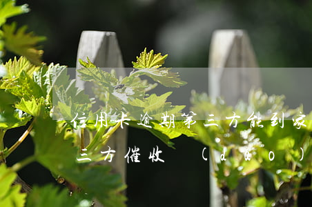 信用卡逾期第三方能到家催收嗎(被信用卡第三方催收導(dǎo)致家庭矛盾可以要求賠償嗎)