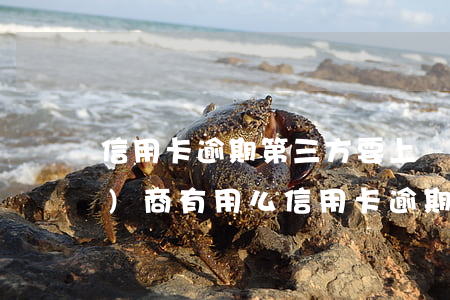 信用卡逾期第三方要上門和銀行協(xié)商有用么（信用卡逾期第三方要上門）