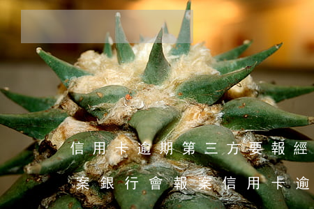 信用卡逾期第三方要報經(jīng)偵報案(銀行會報案信用卡逾期)