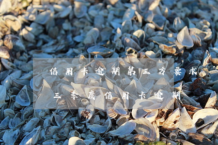 信用卡逾期第三方要求幾點(diǎn)前 三季度信用卡逾期