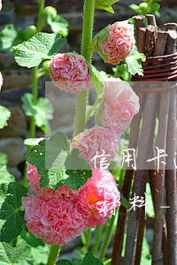 信用卡逾期第三方說(shuō)要上門簽材料-欠信用卡的錢第三方機(jī)構(gòu)上門催收違法嗎