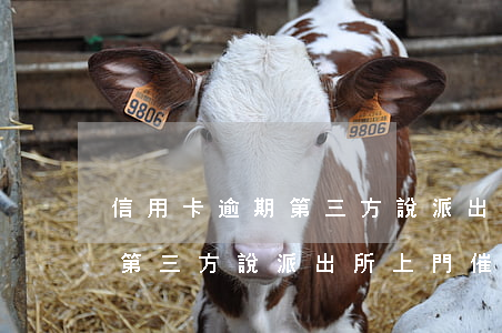 信用卡逾期第三方說派出所上門(信用卡逾期第三方說派出所上門催收)