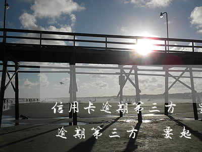 信用卡逾期第三方說要起訴怎么辦-信用卡逾期第三方說要起訴怎么辦呢