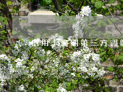 信用卡逾期第三方调解不了
