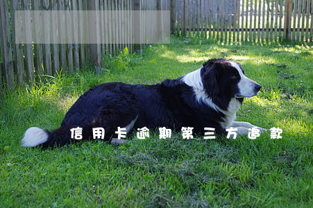 信用卡逾期第三方追款過(guò)程