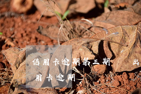信用卡逾期第三期賬單出來了(征信有三個信用卡逾期)