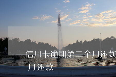 信用卡逾期第二个月还款(信用卡逾期第二个月还款)