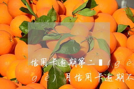 信用卡逾期第二個(gè)月就還了(兩個(gè)月信用卡逾期不還有什么結(jié)果)