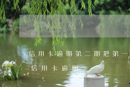 信用卡逾期第二期把第一期的还了-第二次信用卡逾期