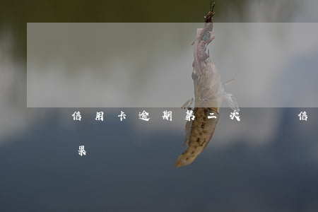 信用卡逾期第二次違約(信用卡二次逾期的后果)