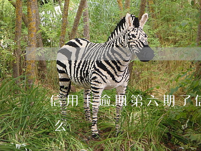 信用卡逾期第六期了 信用卡逾期第六期了怎么辦