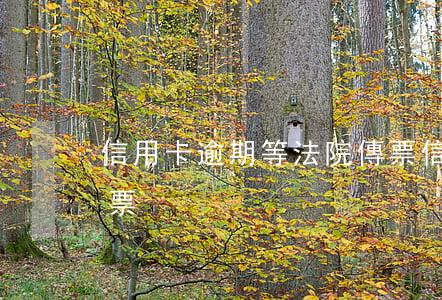 信用卡逾期等法院傳票(信用卡逾期法院寄傳票)