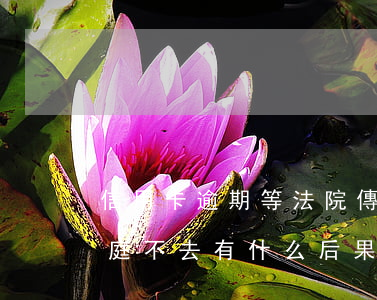 信用卡逾期等法院傳票(欠信用卡法院傳票開庭,不去有什么后果)