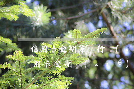 信用卡逾期等銀行協(xié)商(各銀行信用卡逾期協(xié)商政策)