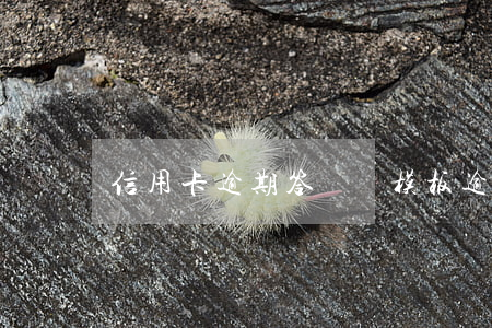 信用卡逾期答辯狀模板(逾期提交答辯狀)