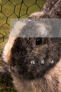 信用卡逾期签了报案书