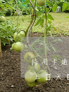 信用卡逾期算上當天還款日嗎(信用卡逾期算上當天還款日嗎嗎)