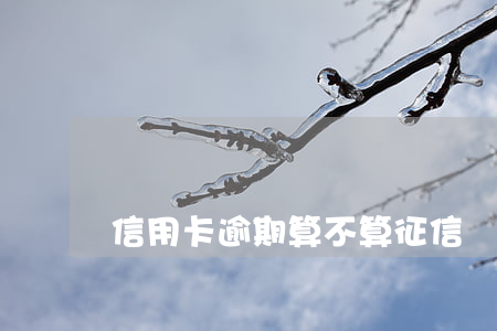 信用卡逾期算不算征信