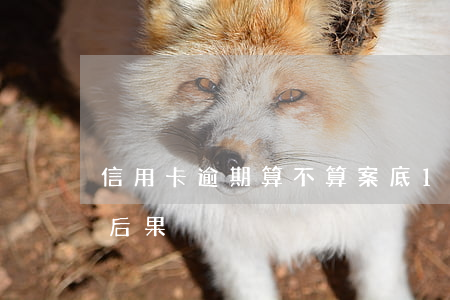 信用卡逾期算不算案底(10張信用卡逾期的后果)