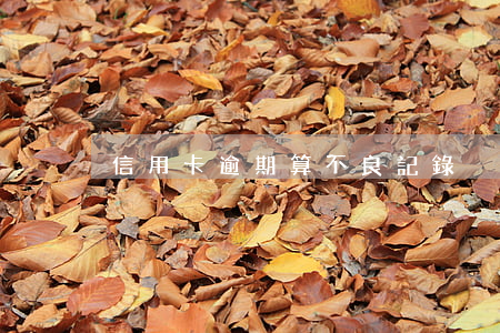 信用卡逾期算不良記錄