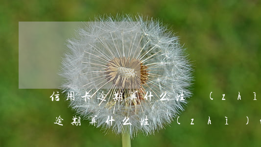 信用卡逾期算什么性質(zhì)-信用卡逾期算什么性質(zhì)的案件