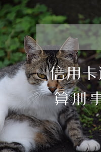 信用卡逾期算刑事責(zé)任(信用卡逾期算刑事責(zé)任年限嗎)