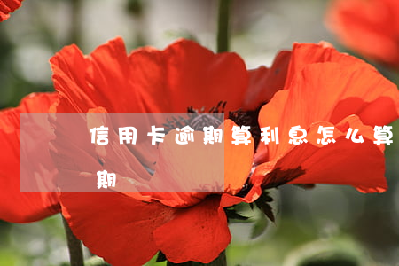 信用卡逾期算利息怎么算的(怎樣算信用卡逾期)