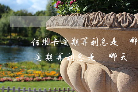 信用卡逾期算利息是從哪天開始算-信用卡逾期算利息是從哪天開始算的