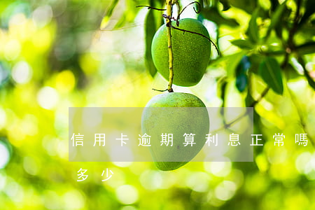 信用卡逾期算利息正常嗎(信用卡逾期利息是多少)