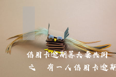 信用卡逾期算夫妻共同債務(wù)嗎(夫妻之間有一人信用卡逾期)