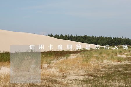 信用卡逾期算是失信人嗎(逾期屬于失信人嗎)