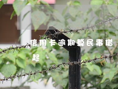 信用卡逾期算民事借貸糾紛 欠信用卡逾期被起訴