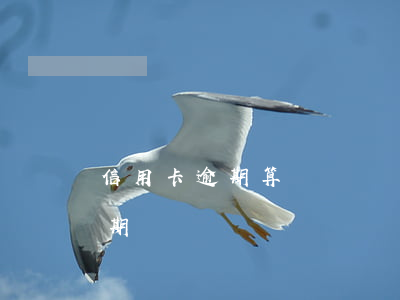 信用卡逾期算詐騙(詐騙短信說信用卡欠款逾期)