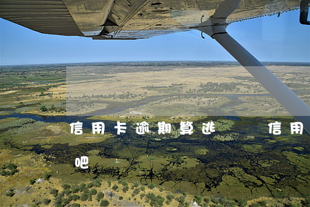 信用卡逾期算逃債嗎(信用卡逾期算逃債嗎貼吧)