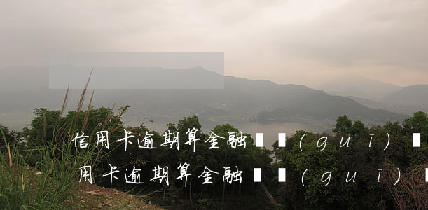 信用卡逾期算金融違規(guī)記錄嗎(信用卡逾期算金融違規(guī)記錄嗎怎么查)