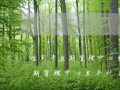 信用卡逾期管理中心是干什么的-信用卡逾期管理中心是干什么的啊
