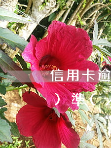 信用卡逾期管理費(fèi)標(biāo)準(zhǔn)(國家規(guī)定的信用卡逾期費(fèi)用收取是多少)