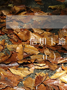 信用卡逾期管理辦法70條(合同法關(guān)于信用卡逾期的)
