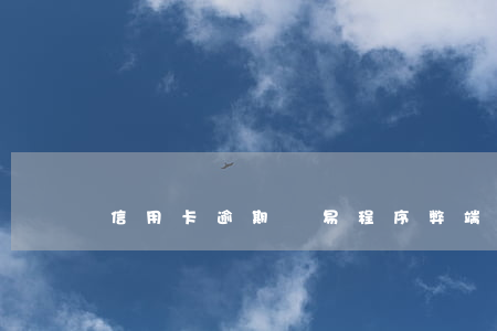 信用卡逾期簡易程序弊端