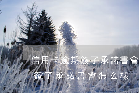 信用卡逾期簽了承諾書會怎么樣(信用卡逾期簽了承諾書會怎么樣)