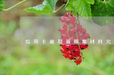信用卡逾期簽報案材料(欠信用卡報案)
