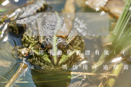 信用卡逾期簽證有風(fēng)險(xiǎn)嗎（信用卡逾期簽證有風(fēng)險(xiǎn)嗎）