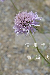 信用卡逾期糾紛答辯狀范文（信用卡逾期糾紛答辯狀范文）