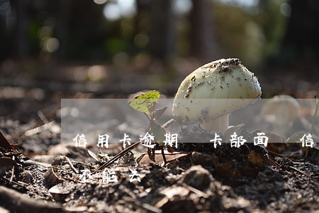 信用卡逾期約卡部面談(信用卡催收約面談能不能去)