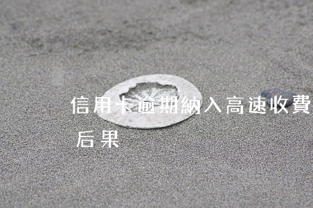 信用卡逾期納入高速收費站 高速過路費逾期后果