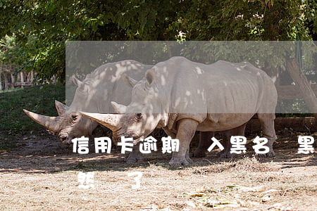 信用卡逾期納入黑名單(黑名單辦理信用卡居然過了)