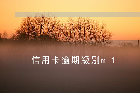 信用卡逾期級別m1